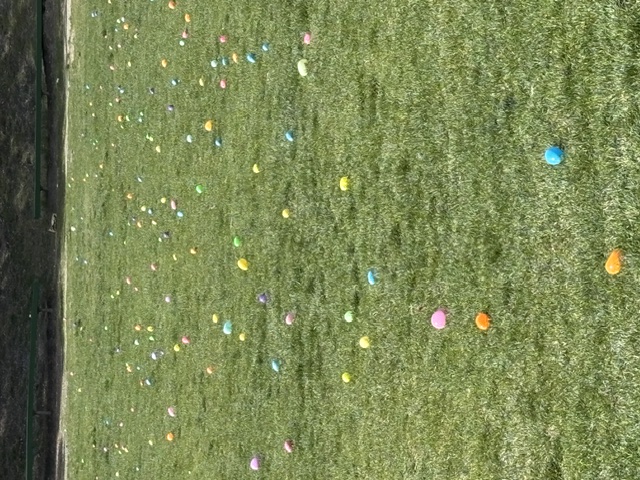 Colorful plastic eggs scattered across a green lawn