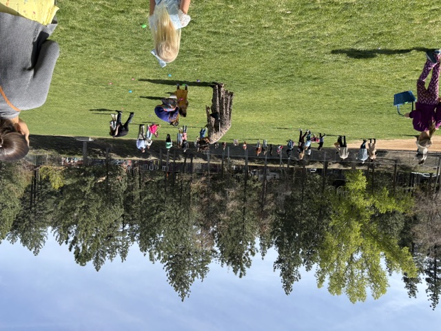 Families and young children hunting for eggs on a grassy field ringed by pines