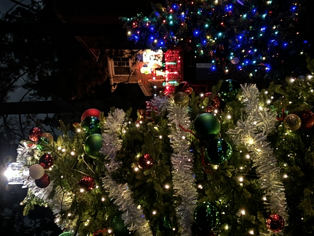 Brightly decorated Christmas trees glowing at night