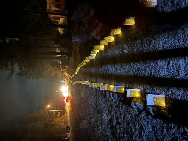 Rows of glowing paper luminarias lining a snowy path at night